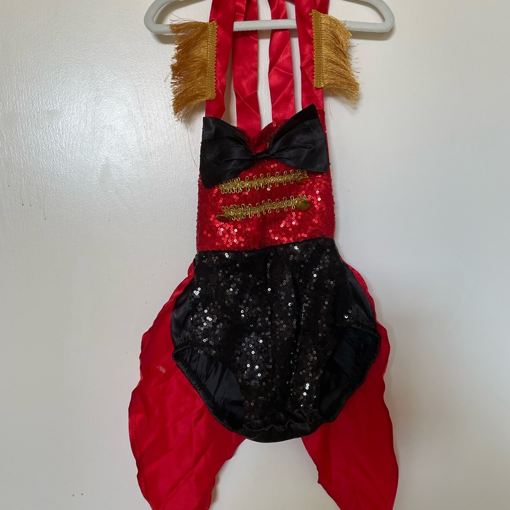 ringleader costume